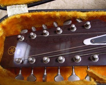 What You Need to Know Before Buying a 12-String Guitar